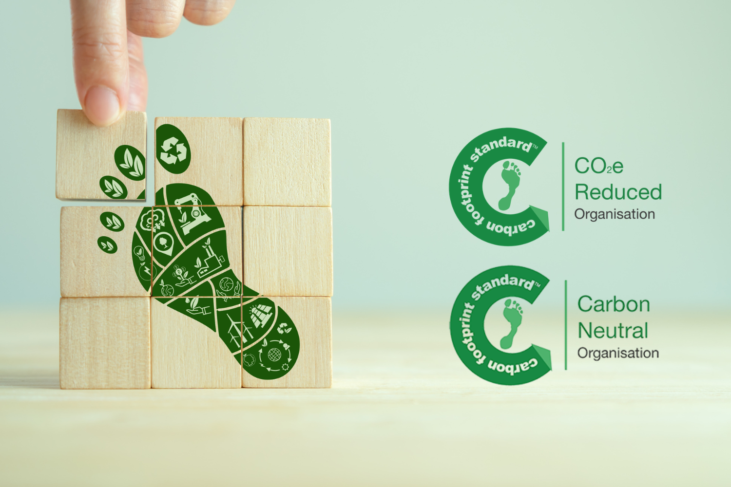 Our Commitment to Carbon Reduction and Offsetting